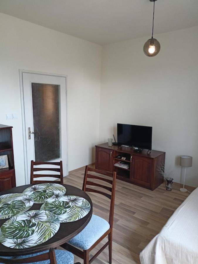 Welcome To Daisy Sunny Place! Leilighet Varna Eksteriør bilde